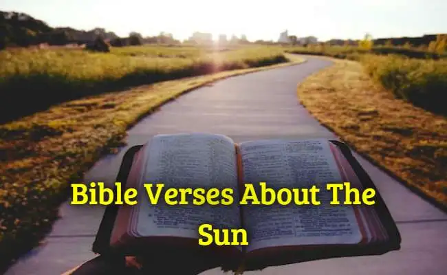 Bible Verses About The Sun