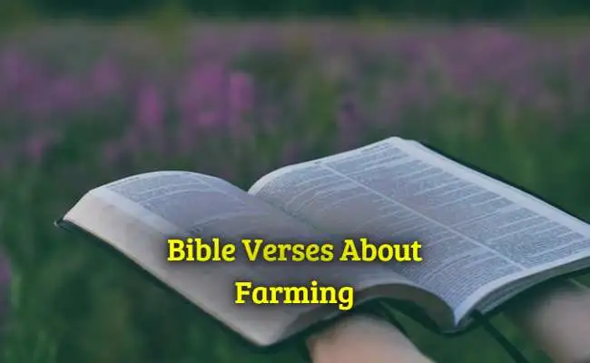 Bible Verses About :Farming
