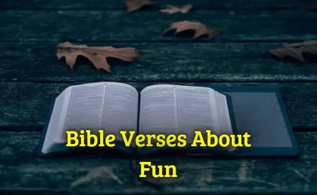 Bible Verses About Fun