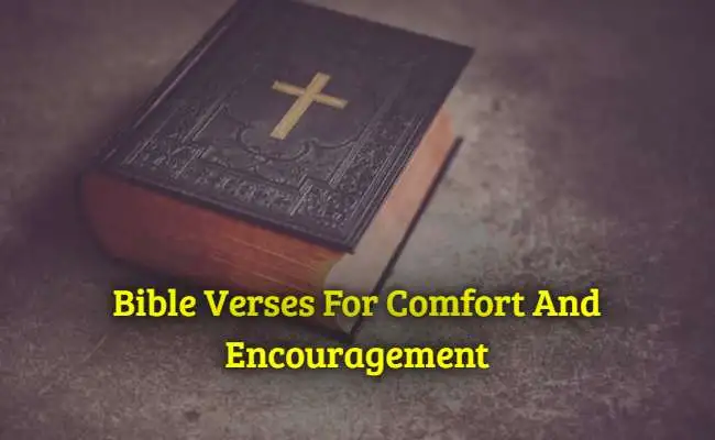 Bible Verses For Comfort And Encouragement