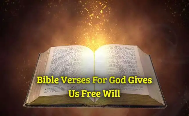 Bible Verses For God Gives :Us Free Will