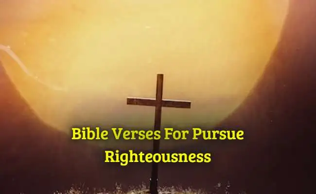 Bible Verses For Pursue Righteousness