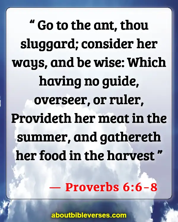Bible Verses About Work Problems (Proverbs 6:6-8)