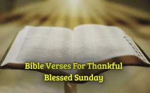 Bible Verses For Thankful Blessed Sunday