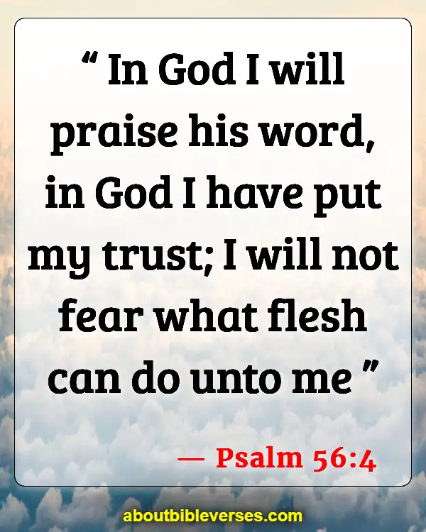 Bible Verses Self Bio Quotes (Psalm 56:4)