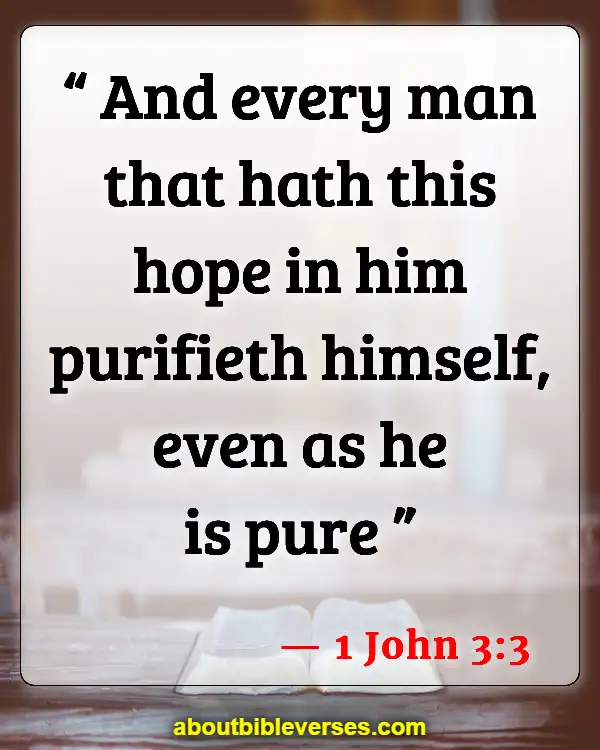 Bible Verses Pursue Holiness (1 John 3:3)