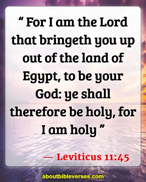 Bible Verses Pursue Holiness (Leviticus 11:45)