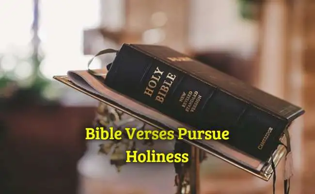 Bible Verses Pursue Holiness