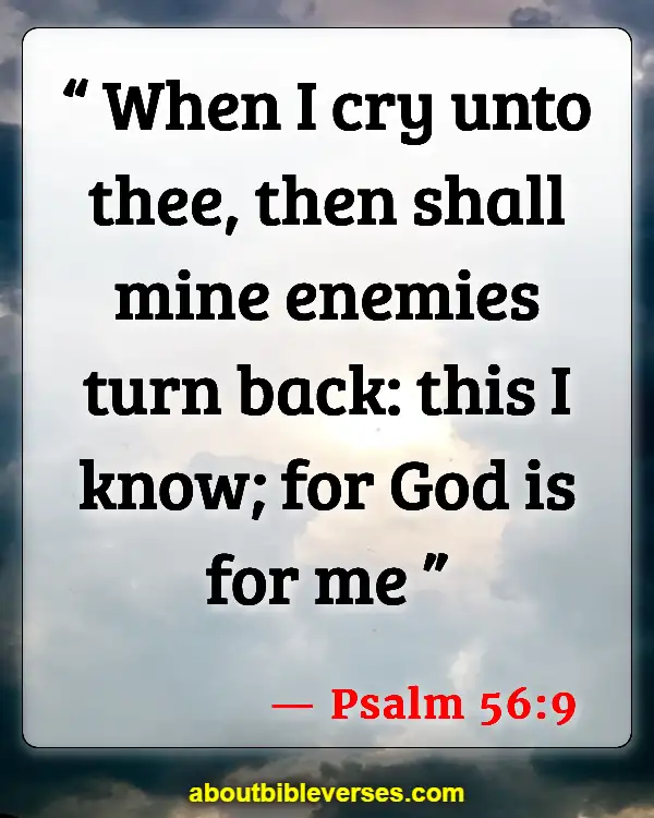 Most Powerful Psalms Against Enemies (Psalm 56:9)