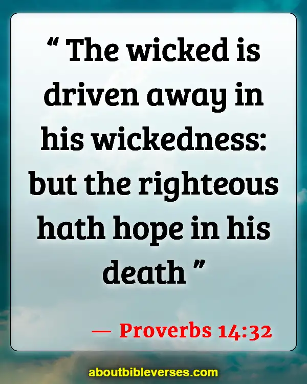 Bible Verses About The Wicked Being Punished (Proverbs 14:32)