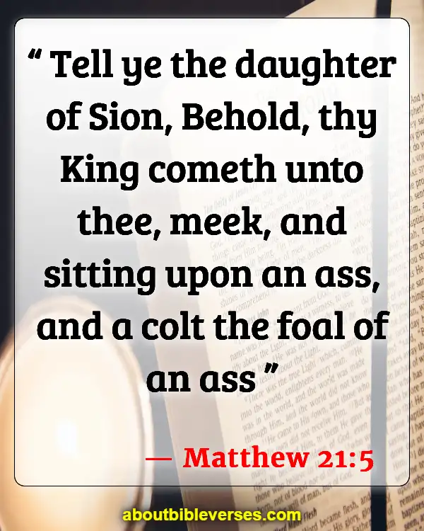 Bible Verses About God Is Humble (Matthew 21:5)