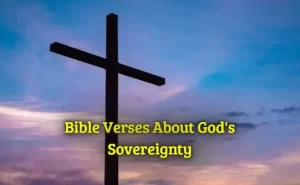 Bible Verses About Gods Sovereignty