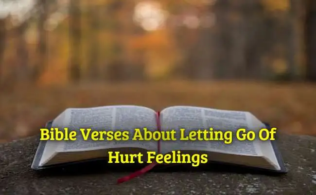 Bible Verses About Letting Go Of Hurt Feelings