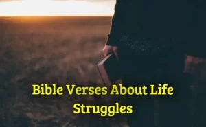 Bible Verses About Life Struggles