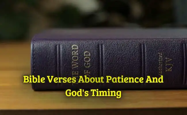 Bible Verses About Patience And Gods Timing