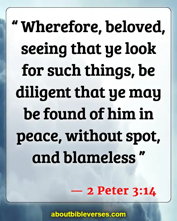 Bible Verses About Peace And War (2 Peter 3:14)