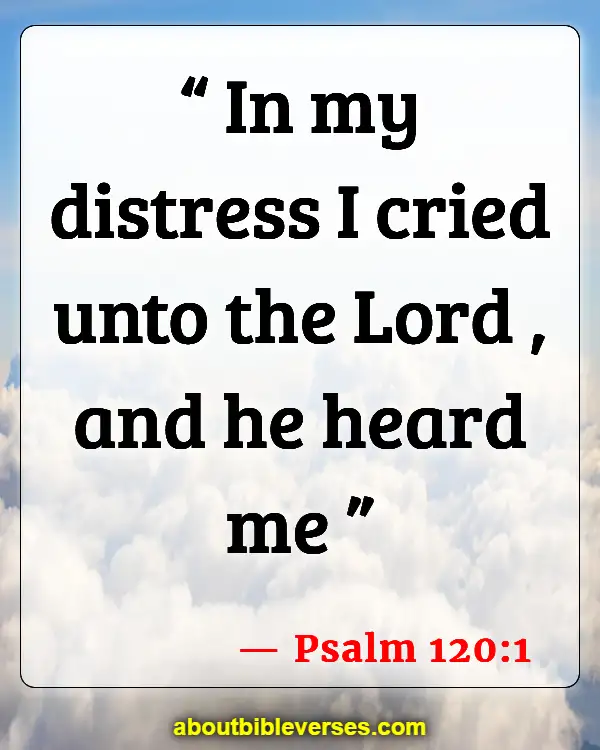 Bible Verses About Problems In Life (Psalm 120:1)