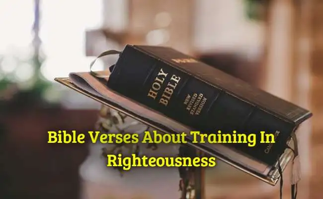 Bible Verses About Training In Righteousness