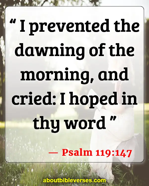 Bible Verses About Waiting For Answered Prayer (Psalm 119:147)