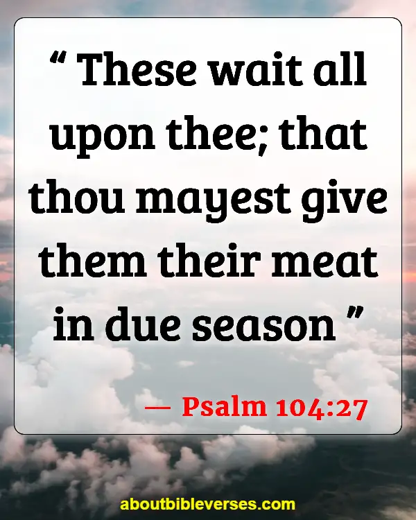 Bible Verses About Waiting For God (Psalm 104:27)