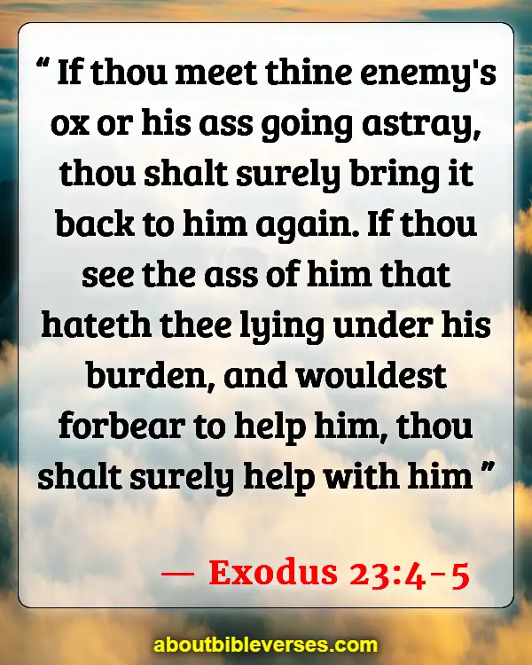 Bible Verses Bless Those Who Persecute You (Exodus 23:4-5)