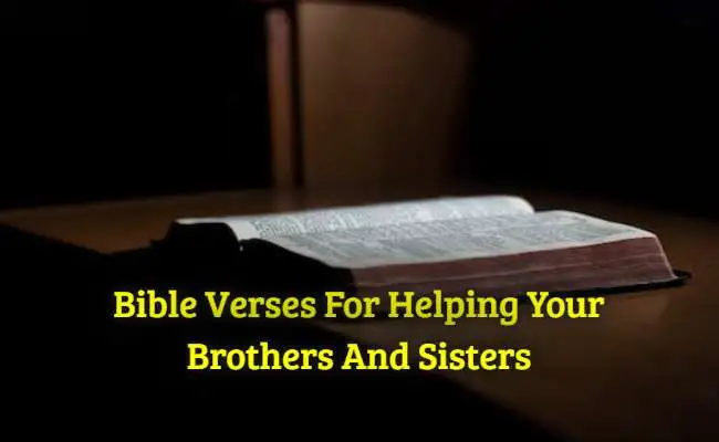 Bible Verses For Helping Your Brothers And Sisters