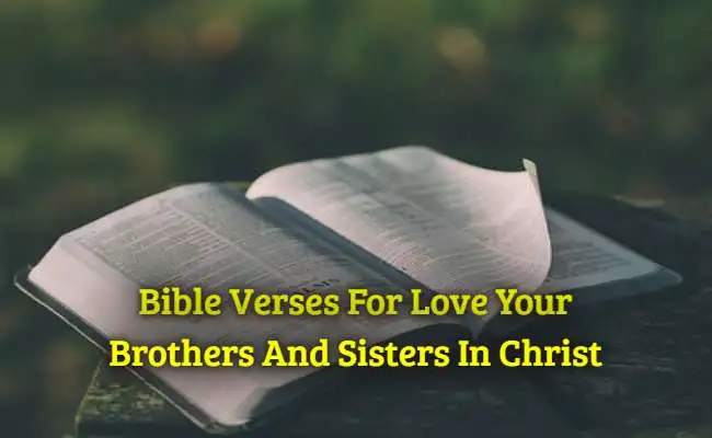 Bible Verses For Love Your Brothers And Sisters In Christ