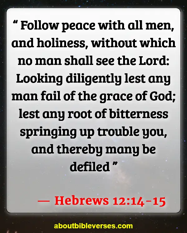 Bible Verses For Relationship Problems (Hebrews 12:14-15)