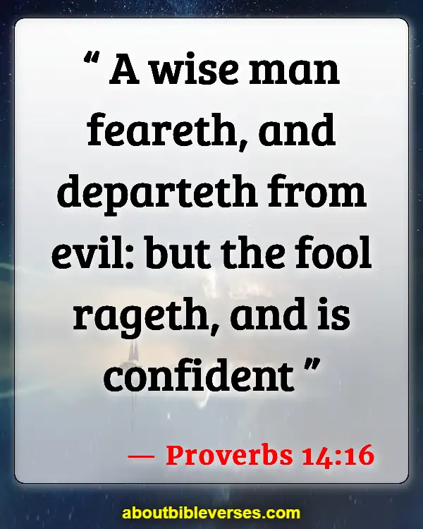 Bible Verses For Sin Makes You Stupid (Proverbs 14:16)
