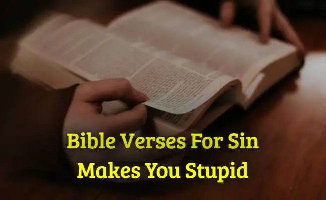 Bible Verses For Sin Makes You Stupid