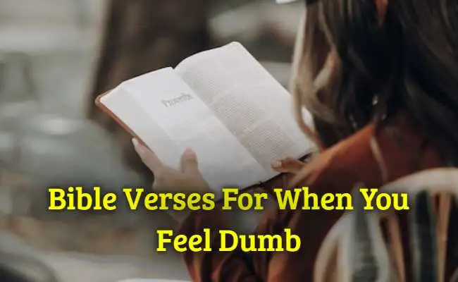 Bible Verses For When You Feel Dumb