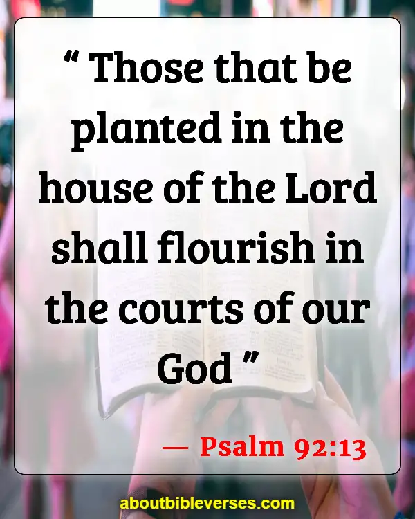 Bible Verses Let Us Go To The House Of The Lord (Psalm 92:13)
