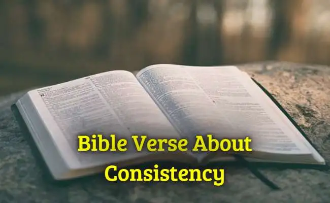 Bible Verse About Consistency