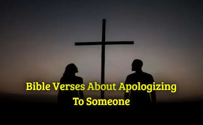 Bible Verses About Apologizing To Someone