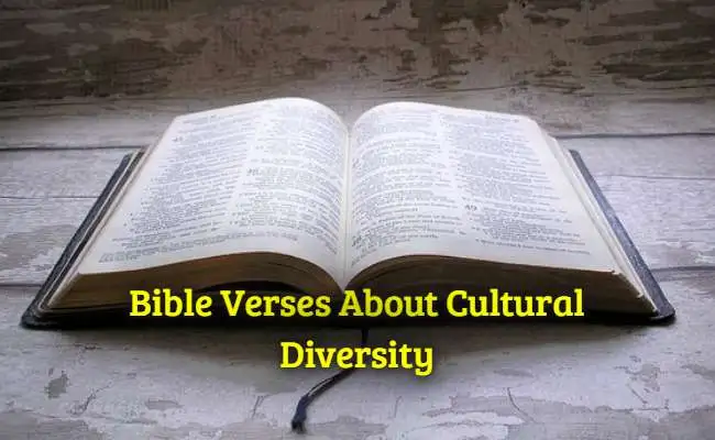 Bible Verses About Cultural Diversity