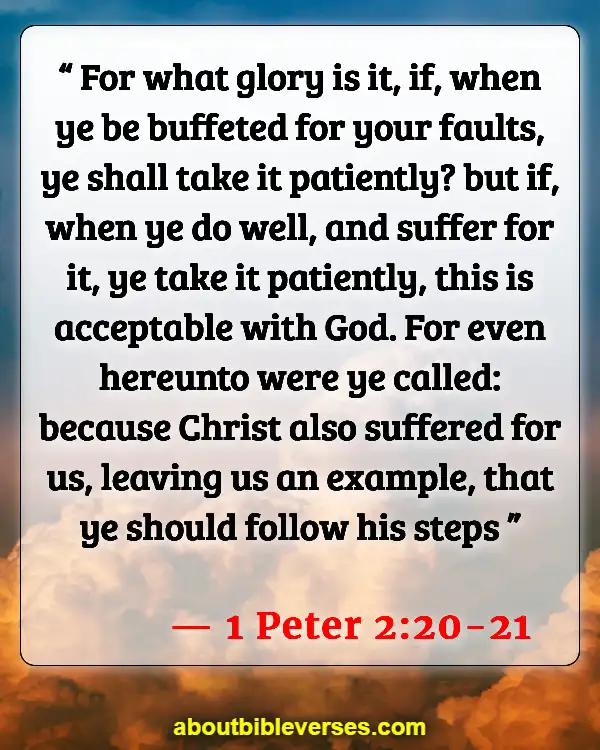 Bible Verses About Dealing With Problems (1 Peter 2:20-21)