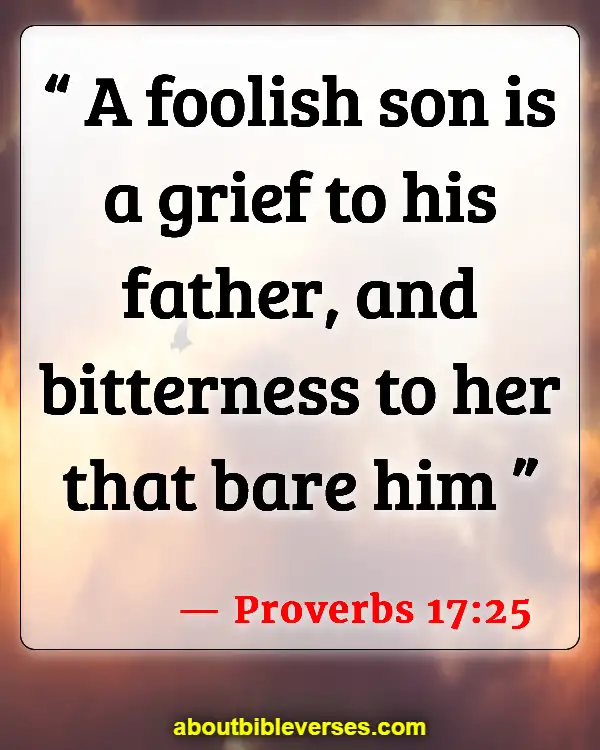 Bible Verses About Family Problems Solution (Proverbs 17:25)