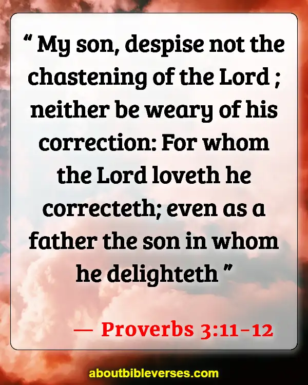 Bible Verses About Fathers Responsibilities (Proverbs 3:11-12)