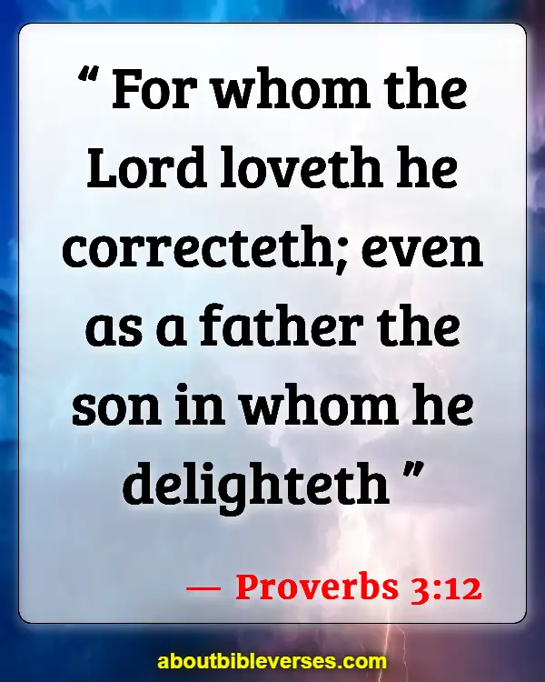 Bible Verses About Father's Responsibilities (Proverbs 3:12)