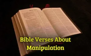 Bible Verses About Manipulation