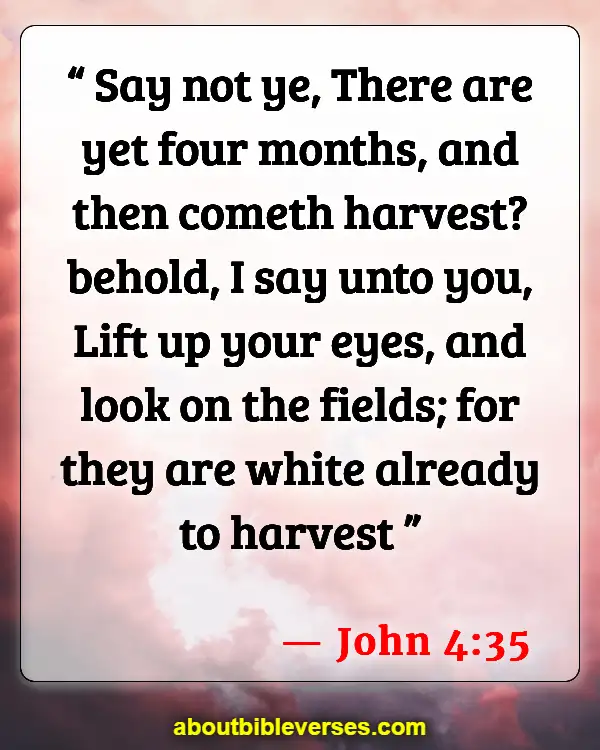 Bible Verses About Missions And Evangelism (John 4:35)