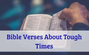 Bible Verses About Tough Times