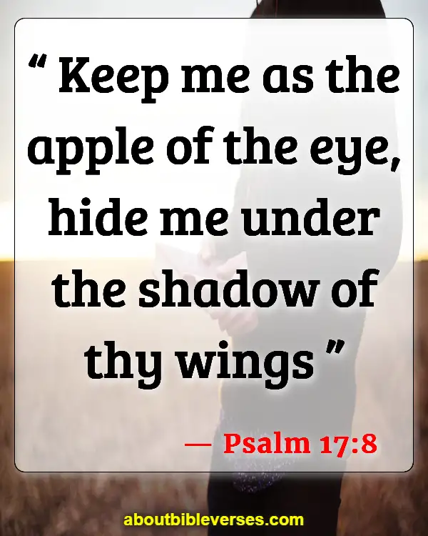 Bible Verses Dwelling In The Presence Of God (Psalm 17:8)