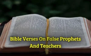 Bible Verses On False Prophets And Teachers