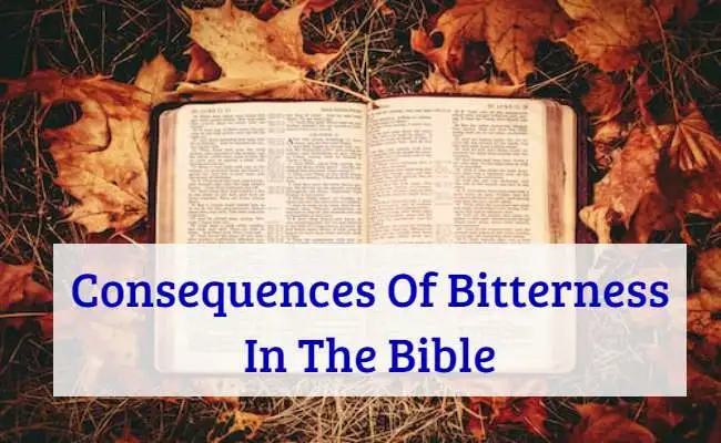 Consequences Of Bitterness In The Bible