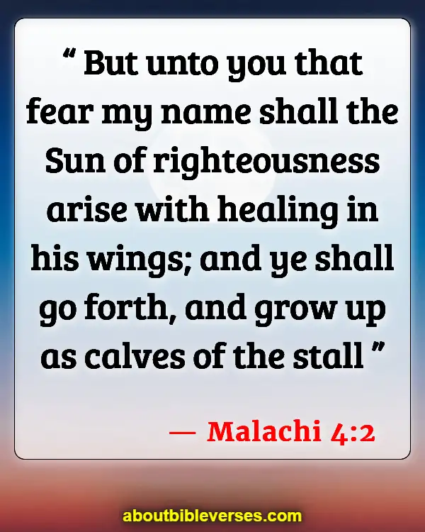 Good Morning Bible Verses (Malachi 4:2)